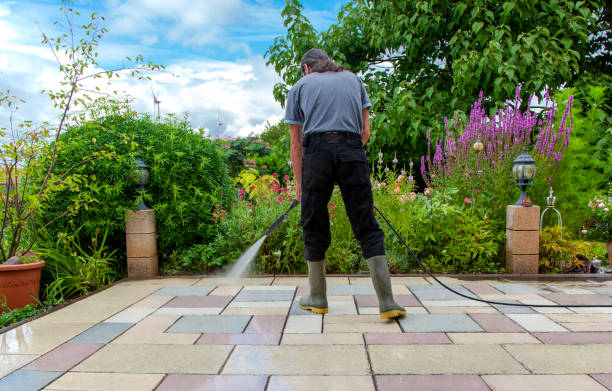 Professional  Pressure Washing Services in Petoskey, MI