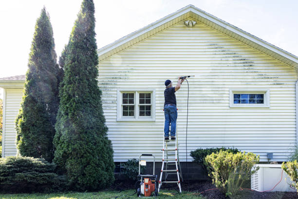 Best Dumpster Area Cleaning  in Petoskey, MI